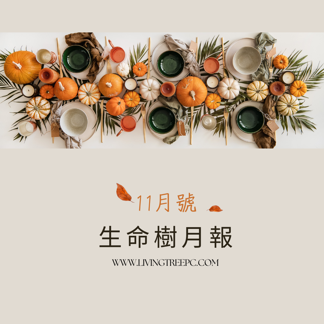 生命樹月報｜11月號